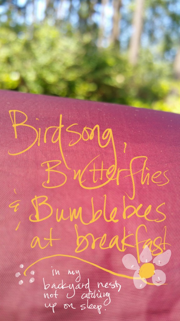 backyard blessings
